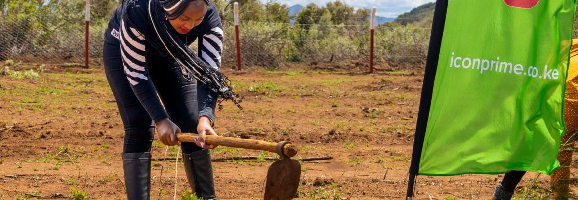 Sustainable Living at Icon Prime