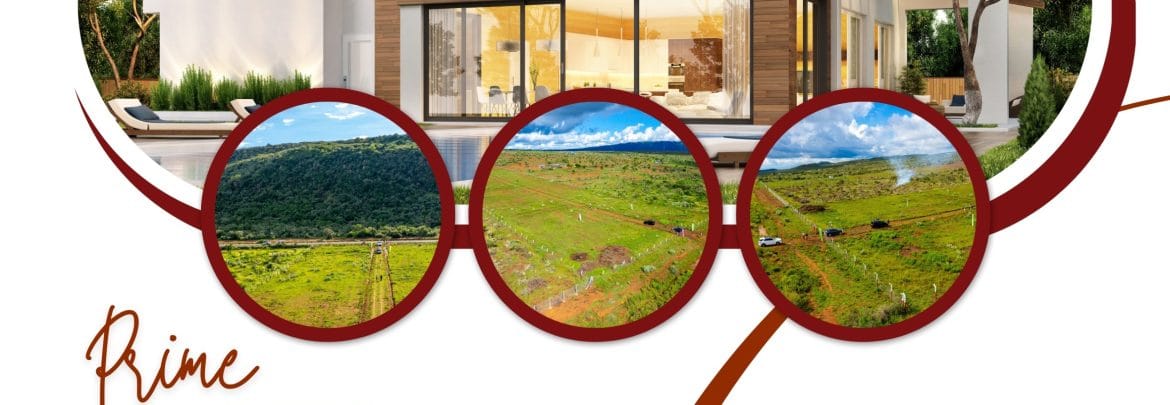 difference between landlord and property manager