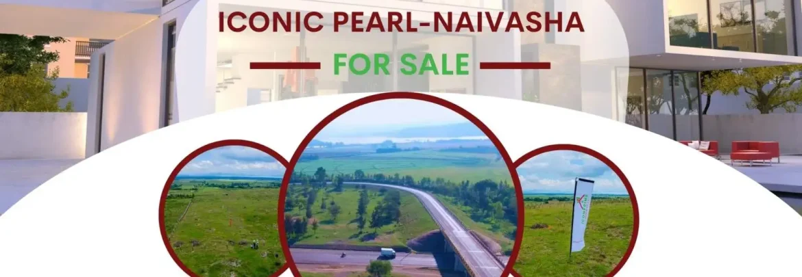 Role of property manager